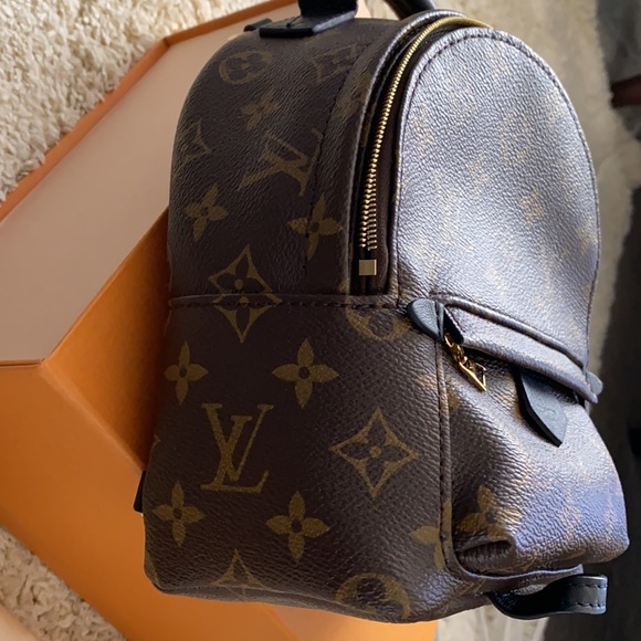 SOLD - Louis Vuitton Palm Springs mini - new version - Picture 7 of 8